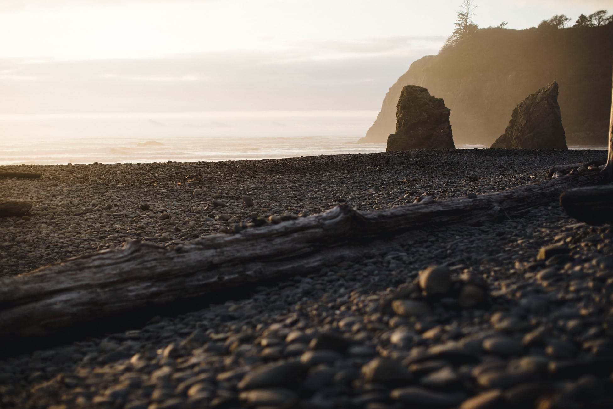 Olympic National Park plays host to an elopement.
