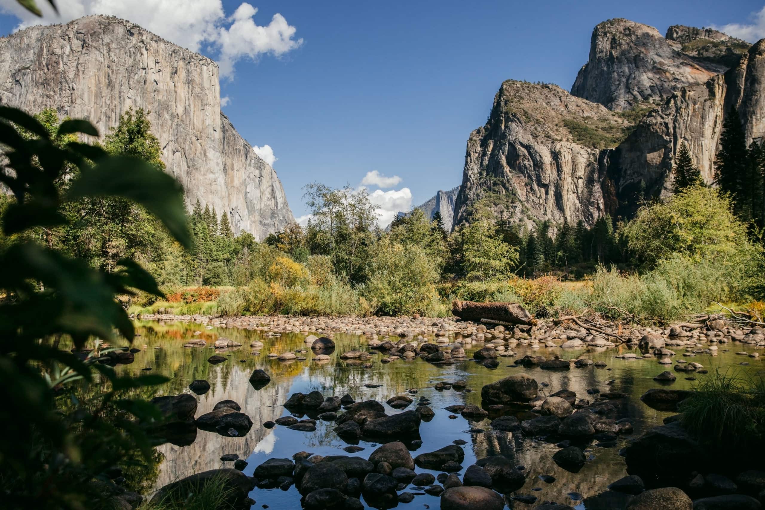 Getting married in the meadow is a popular option in Yosemite National Park.