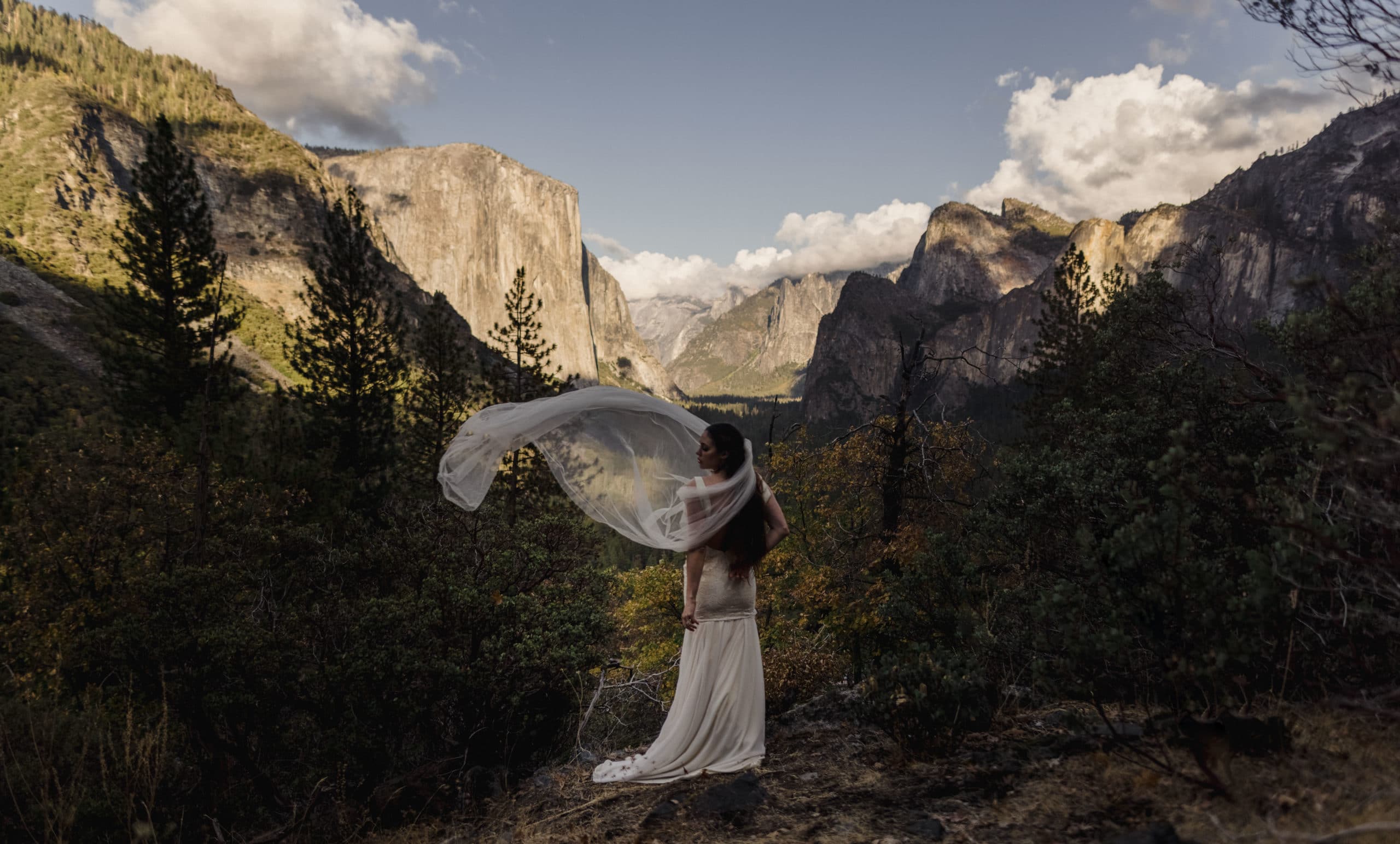 A wedding at Glacier point in Yosemite Valley.