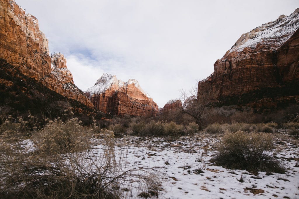 A Zion National Park wedding with snow and scenic mountain landscapes.